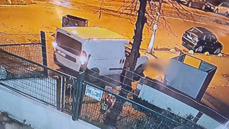 Kadıköy’de kaldırımda yatan ‘Pakize’ isimli köpeği ezip yollarına devam ettiler