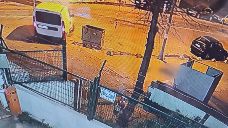 Kadıköy’de kaldırımda yatan ‘Pakize’ isimli köpeği ezip yollarına devam ettiler