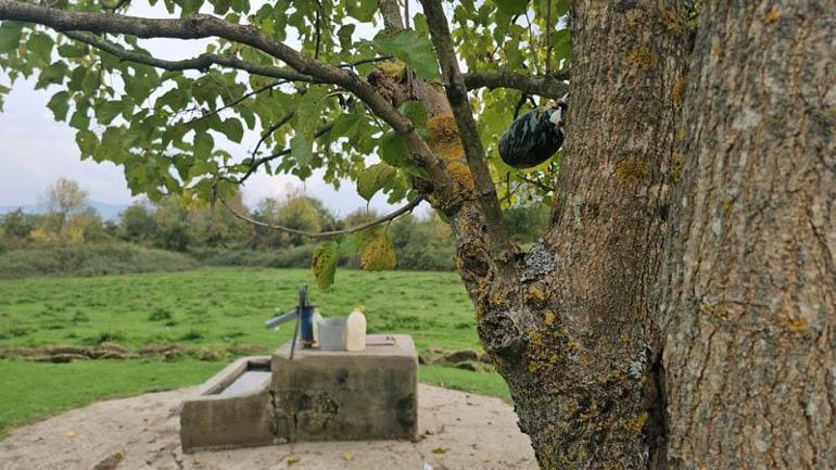 Kuyuda cesedi bulunan Hasreti öldüren sanık için ağırlaştırılmış müebbet talebi
