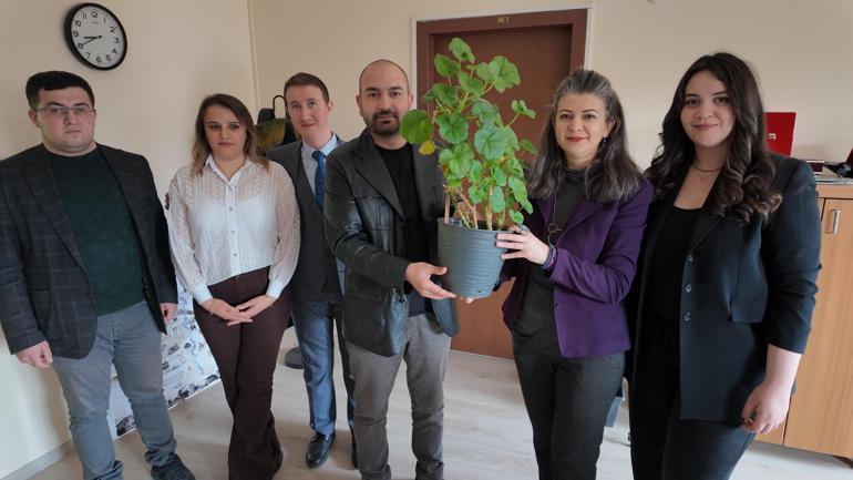 Bitkilerden elektrik üretildi; Bolu ve Ankara’dan ekip biyopil geliştirdi