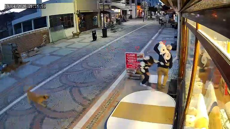 Sokak köpeğinin saldırısında yaralandı; o anlar kamerada
