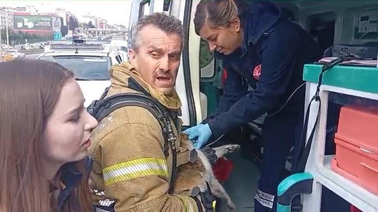 Pendik’te iş merkezinde çıkan yangında mahsur kalanlar kurtarıldı: 5 kişi dumandan etkilendi