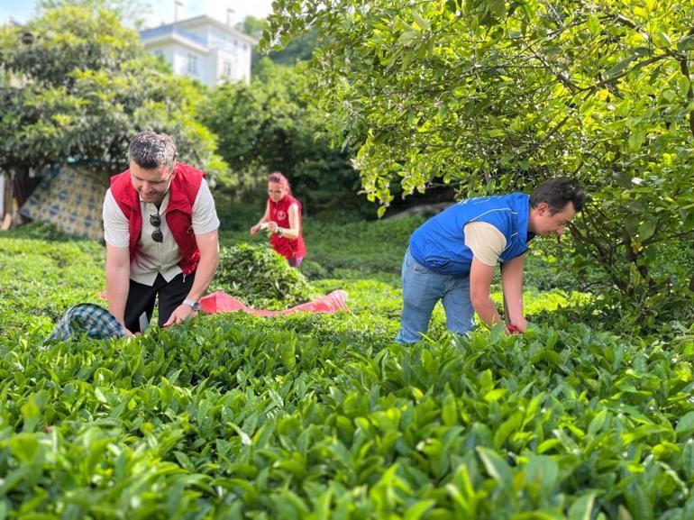 Gönüllü Hasat Etkinliği 2026 takvimi açıklandı