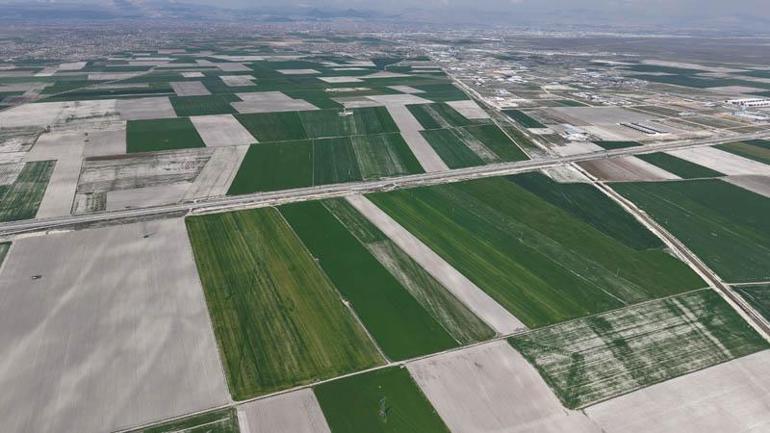 Konya Ovasında yağışlarla hububatta 500 bin ton rekolte artışı bekleniyor