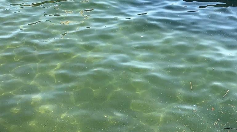 Seyhan Baraj Gölünde kaybolan üniversiteli genç, baygın halde sudan çıkarıldı