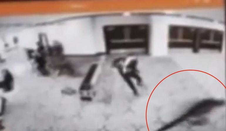 ABD Başkanı Trump, katıldığı yemekte silah sesleri duyulması üzerine salondan çıkarıldı