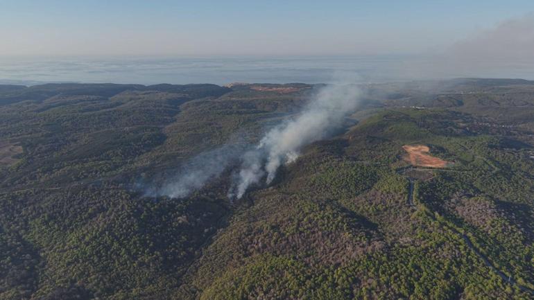 Beykozda ormanlık alanda yangın; alevler yeniden yükseldi