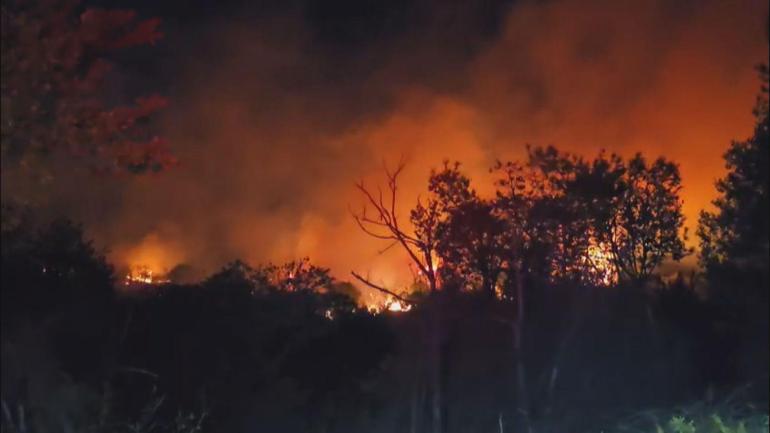 Beykozda orman yangını; alevler kontrol altına alındı