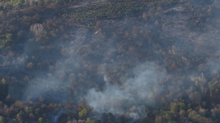 Beykozda orman yangını; alevler kontrol altına alındı
