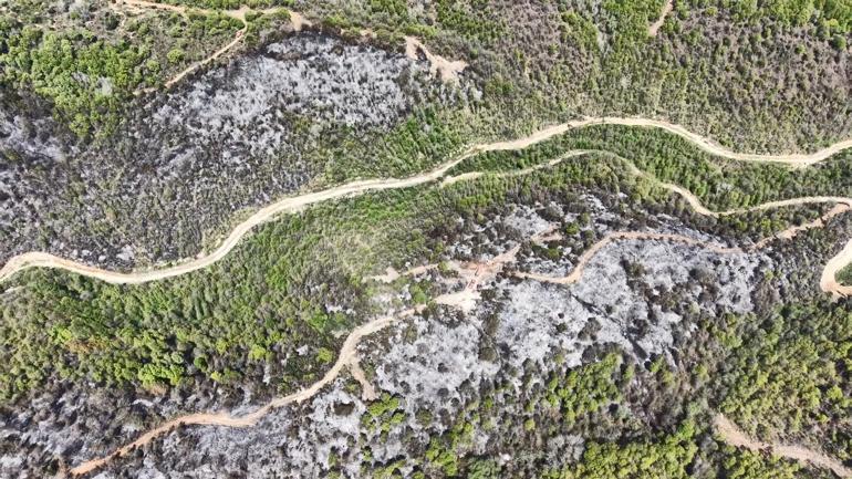 Beykozda orman yangını; zarar gören alan havadan görüntülendi