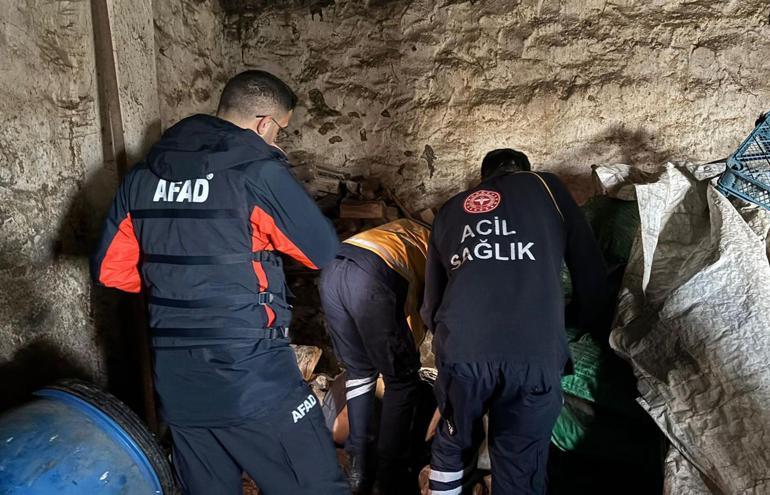 Kayıp olarak aranan kadın ahırda ölü bulundu, damadı gözaltına alındı