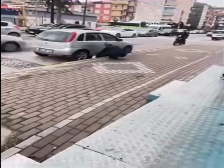 Kedinin yüzüne yağ çözücü sprey sıkan market çalışanı adli kontrol şartıyla serbest