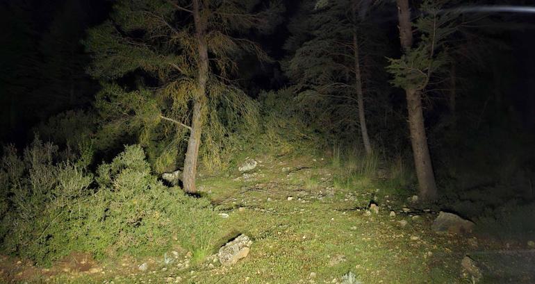 Kübra’yı ormana götürüp öldürdükten sonra cesedini yakmışlar