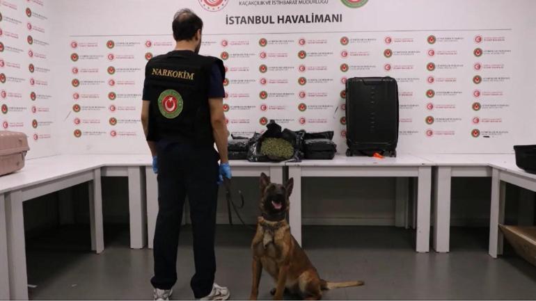 İstanbul Havalimanı’nda 19 kilogram uyuşturucuyla yakalanan 2 İngiliz yolcu kamerada