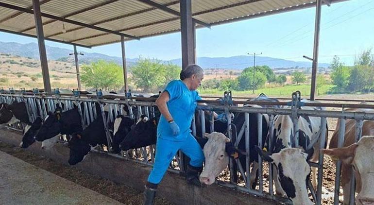 Aydın’da şap hastalığı: 17 mahallede karantina tedbirleri alındı