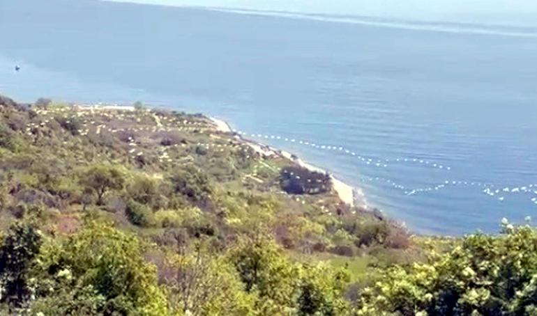 Gökyüzünü süsleyen pelikanların geçişi kamerada