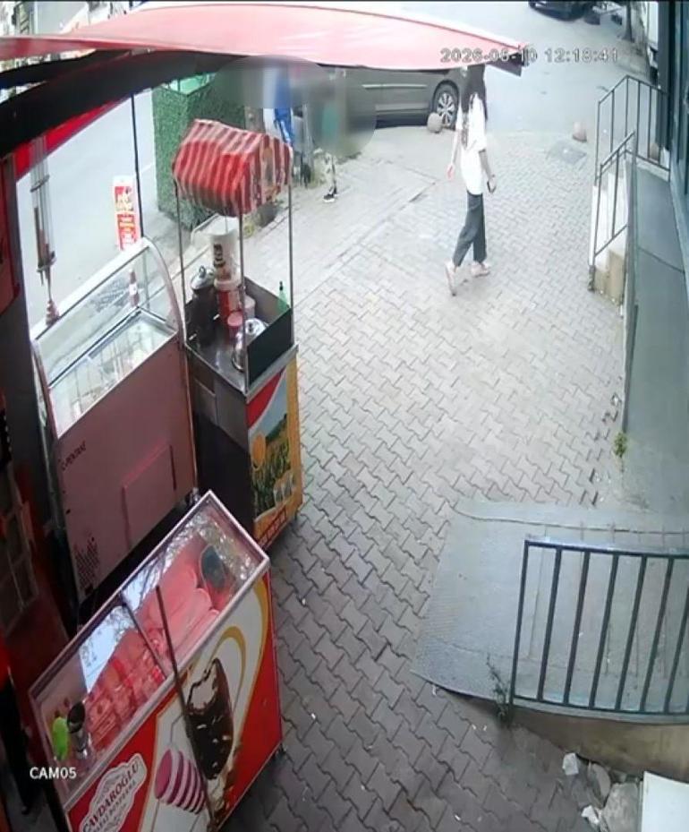 Esenler’de kediye bıçakla zarar veren çocuklar kendilerini uyaran kadının üzerine yürüdü