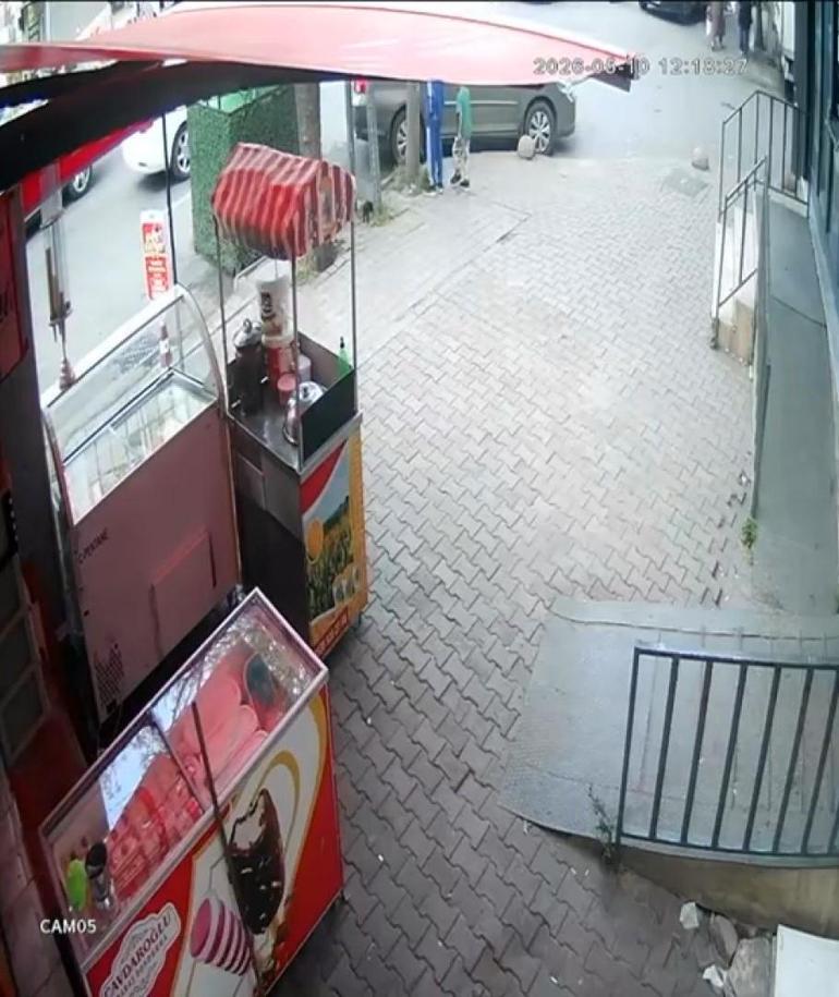 Esenler’de kediye bıçakla zarar veren çocuklar kendilerini uyaran kadının üzerine yürüdü