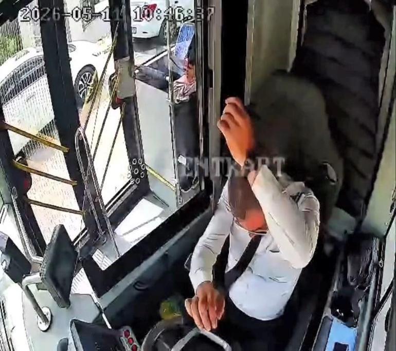 Otobüsü durdurup kaplumbağayı ezilmekten kurtardı