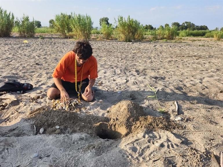32 yıllık caretta mücadelesi; 1,5 milyon yavru denize ulaştı