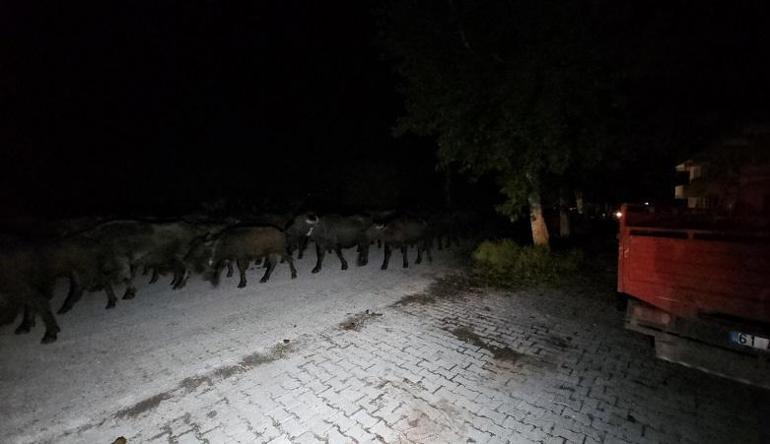 Tokatta Kelkit Çayının debisi yükseldi, taşkın riskine karşı köy boşaltılıyor