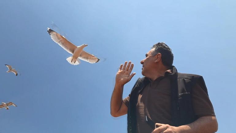 Zeytinburnunda anten tamiri için çatıya çıktı martıların saldırısına uğradı; Az kalsın çatıdan düşecektim