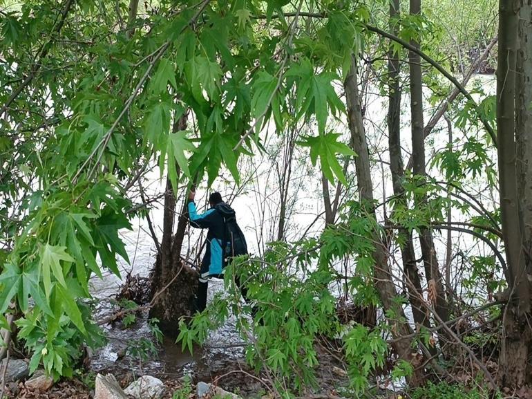 Muşta dereye düşen Gülsima aranıyor