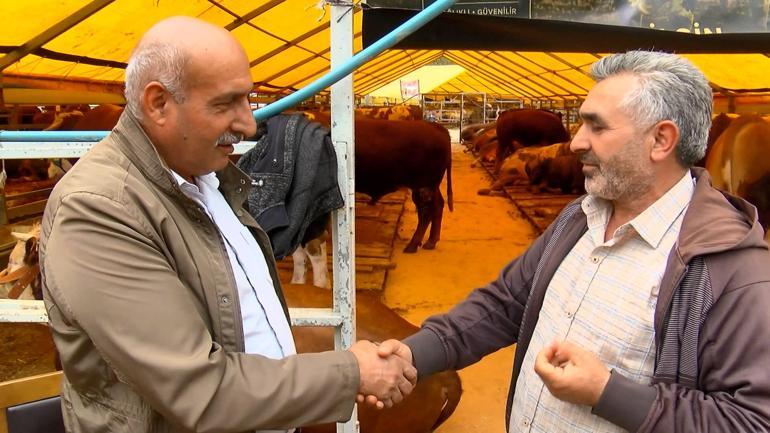 Kurban Bayramına 4 gün kala hayvan pazarlarında hareketlilik sürüyor