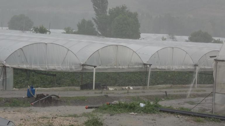 TZOB Genel Başkanı Bayraktar: Amasyada toplam sera alanının yüzde 42si zarar gördü