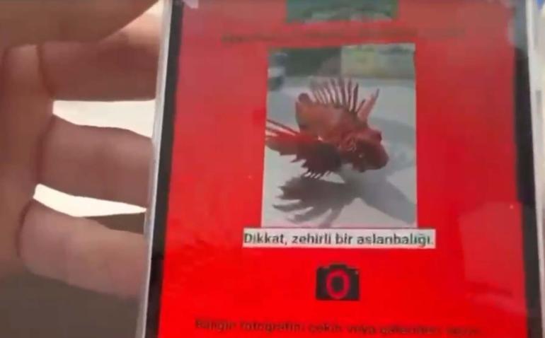 Akdenizin denizel biyolojik çeşitliliğini korumak için hazırladıkları projeyle Monakoya davet edildiler