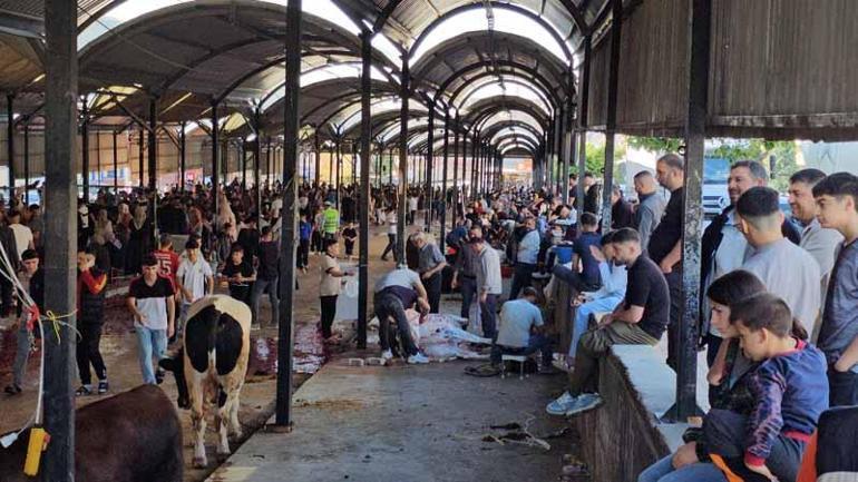 Yurtta Kurban Bayramı manzaraları
