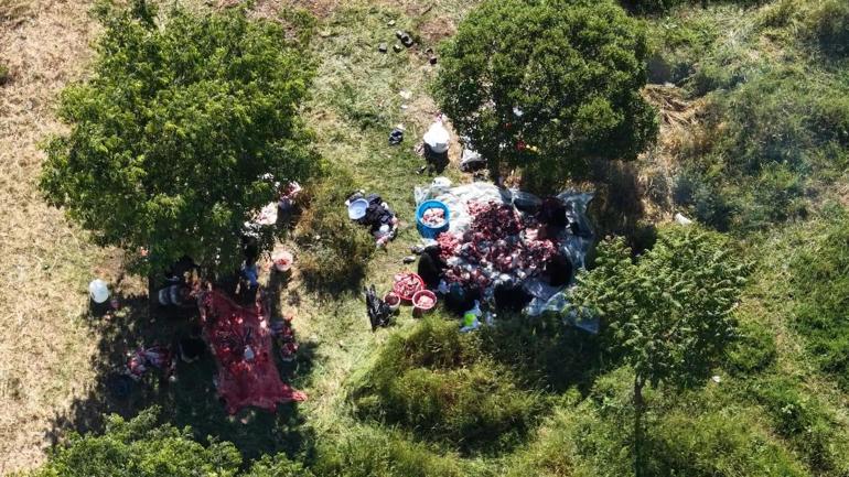 Sultangazide kurbanlıkları yol kenarları ve parklarda kestiler