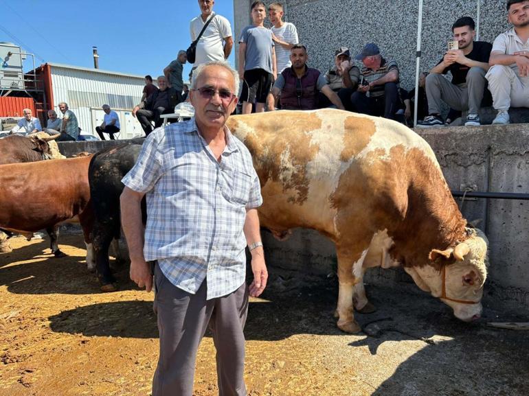 Yurtta Kurban Bayramı manzaraları