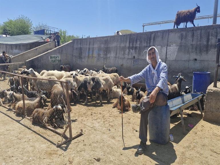 Yurtta Kurban Bayramı manzaraları