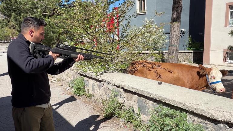 Kurban keserken kalp krizi geçirip öldü