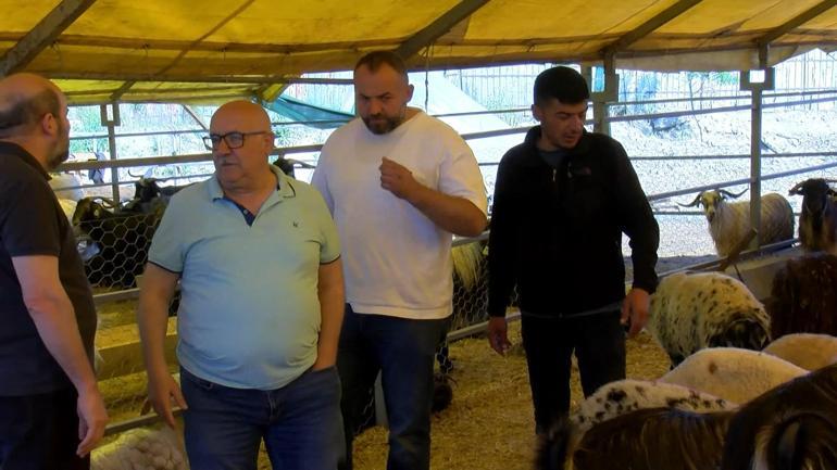 Bahçelievlerde son kurbanlıklar alıcısını bekliyor; çadırlar toplanmaya başladı