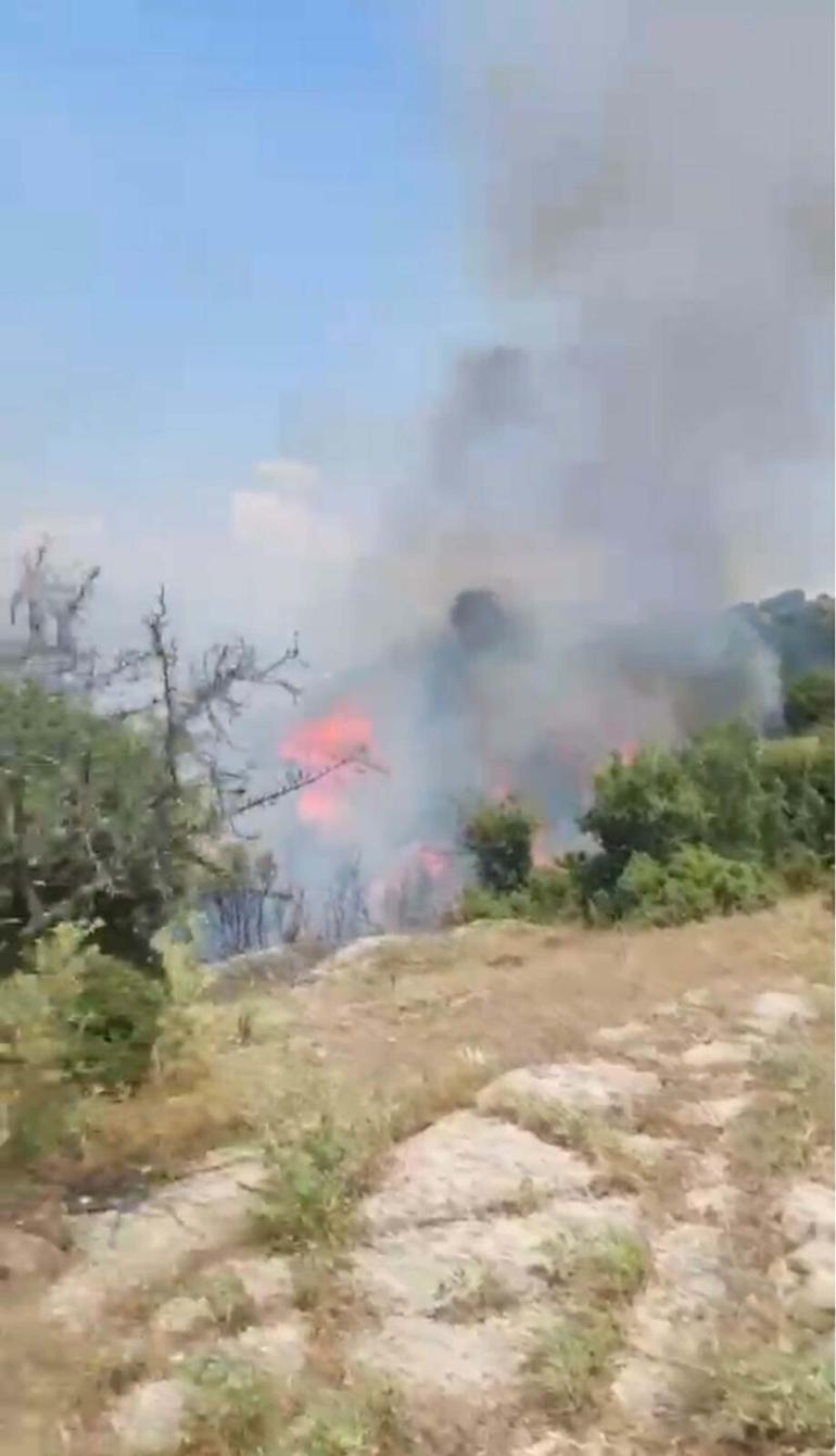 Aydında maki yangını; 40 dekar alan zarar gördü