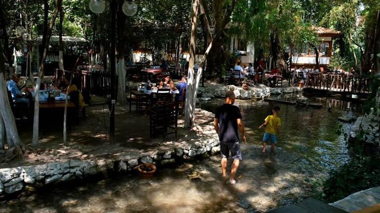 Türkiye Çevre Haftası, Dünya Bize Emanet temasıyla kutlanıyor