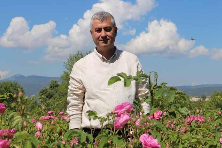 Ispartada gül sezonu başladı