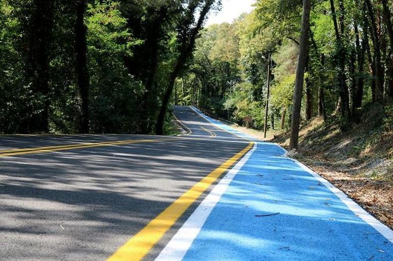 Sakaryadaki Acarlar Longozu ve İl Ormanı Tabiat Parkı bayramda 24 bin ziyaretçi ağırladı