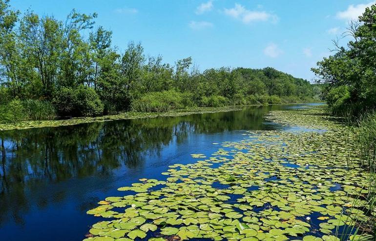 Sakaryadaki Acarlar Longozu ve İl Ormanı Tabiat Parkı bayramda 24 bin ziyaretçi ağırladı