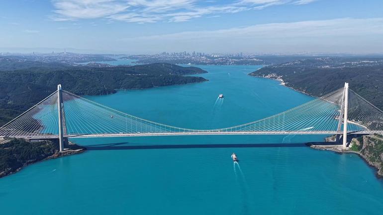 Turkuaz renge bürünen İstanbul Boğazı’nda yunuslar havadan görüntülendi
