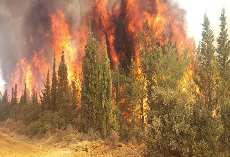 Çanakkalede orman dışı yangınlarda toplam zarar 484 milyon 599 bin TL
