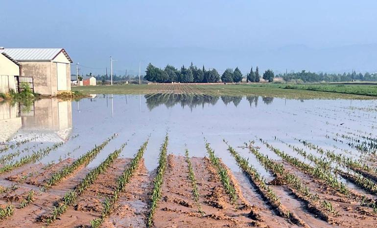 Bursada dolu ve sağanak, tarım arazilerini vurdu