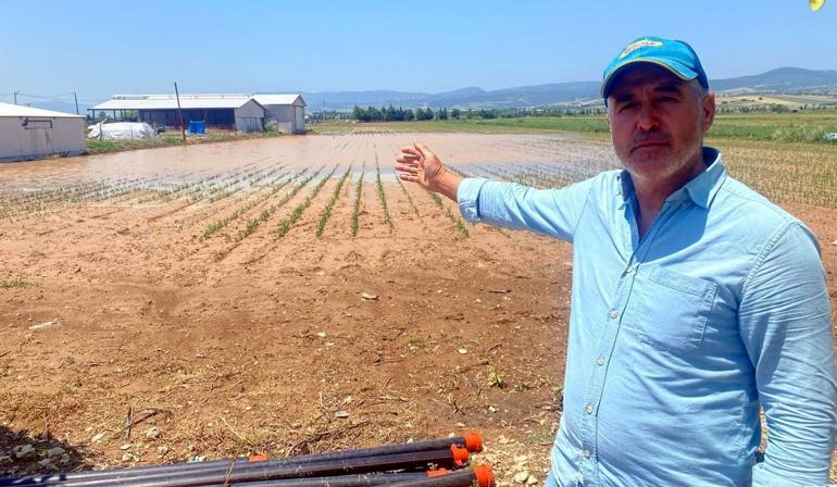 Bursada dolu ve sağanak, tarım arazilerini vurdu
