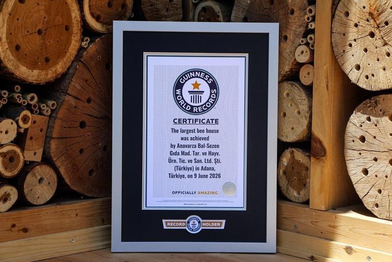 Adanada hayata geçirilen arı oteli dünyanın en büyüğü; Guinness tescil etti