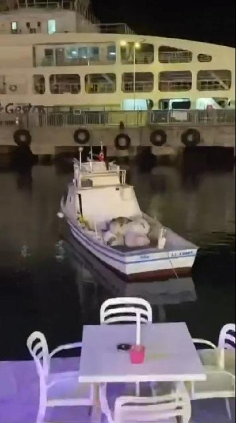 Erdek’te balıkçı teknesine çıkan su samuru görüntülendi