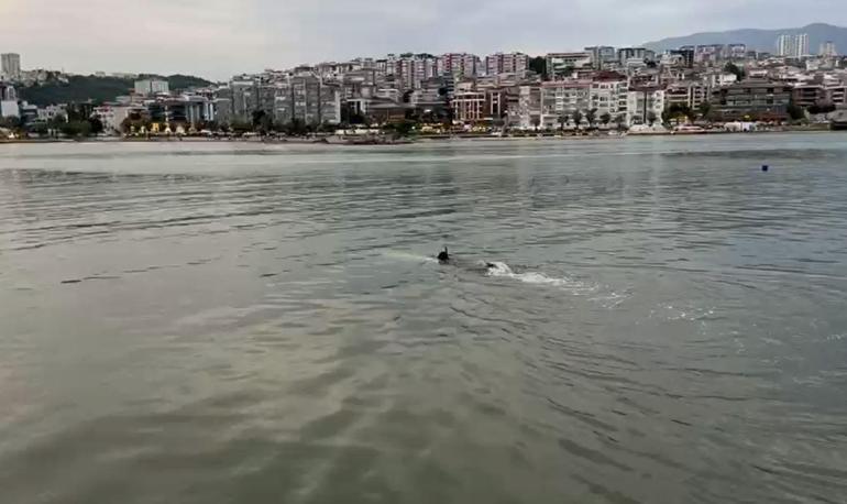 Ekipleri harekete geçiren deniz kıyısındaki eşyalar, profesyonel yüzücünün çıktı