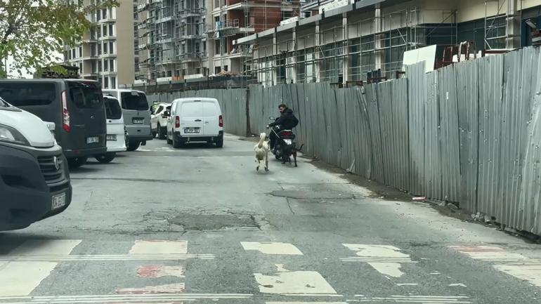 Seyrantepe’de motosiklete bağladığı köpeği metrelerce koşturdu: 8 bin 678 lira ceza kesildi