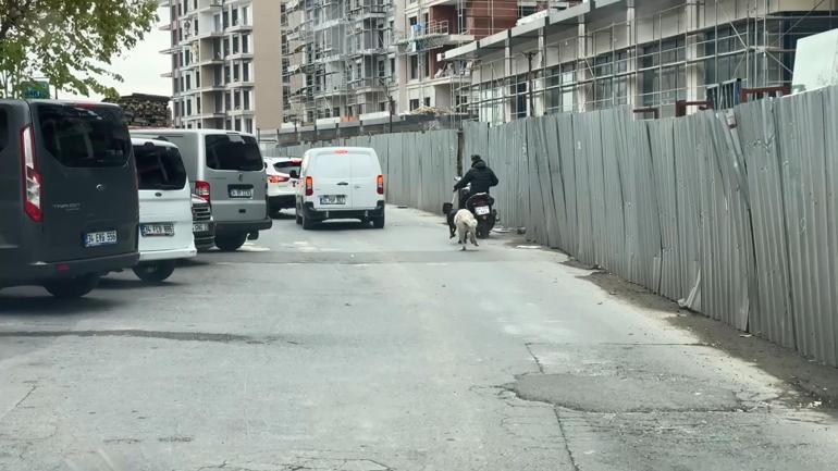 Seyrantepe’de motosiklete bağladığı köpeği metrelerce koşturdu: 8 bin 678 lira ceza kesildi